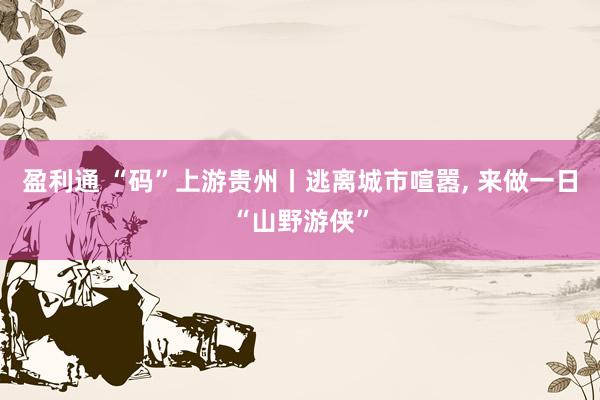 盈利通 “码”上游贵州丨逃离城市喧嚣, 来做一日“山野游侠”