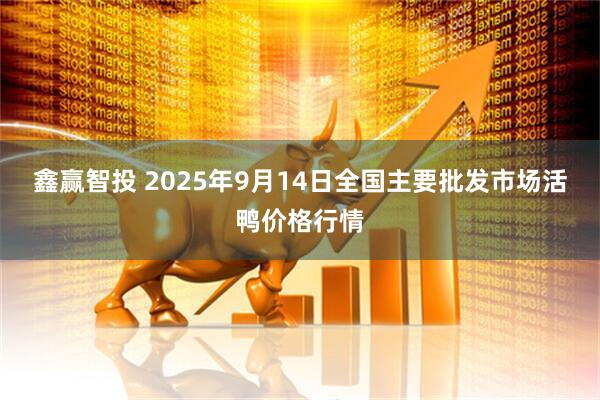 鑫赢智投 2025年9月14日全国主要批发市场活鸭价格行情