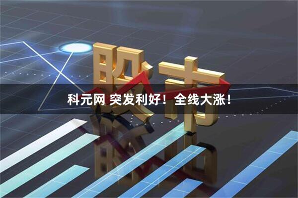 科元网 突发利好！全线大涨！