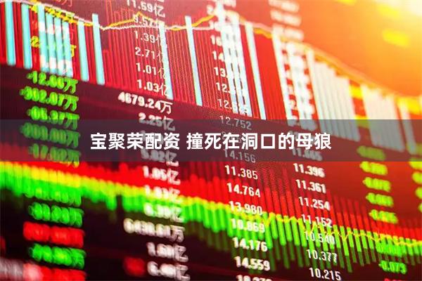 宝聚荣配资 撞死在洞口的母狼