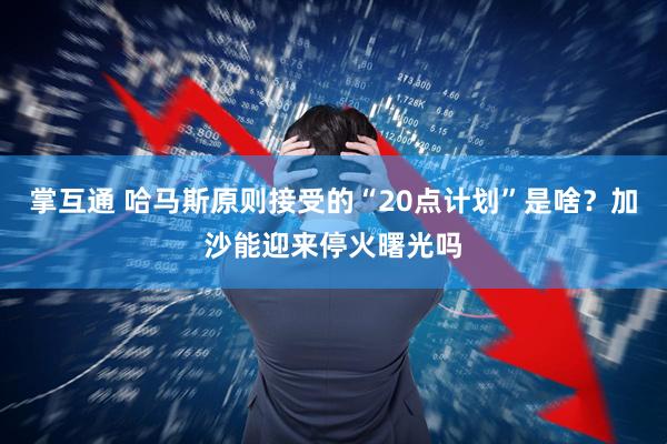 掌互通 哈马斯原则接受的“20点计划”是啥？加沙能迎来停火曙光吗