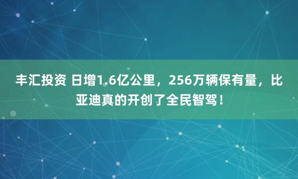 丰汇投资 日增1.6亿公里，256万辆保有量，比亚迪真的开创了全民智驾！