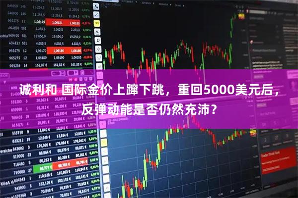 诚利和 国际金价上蹿下跳，重回5000美元后，反弹动能是否仍然充沛？