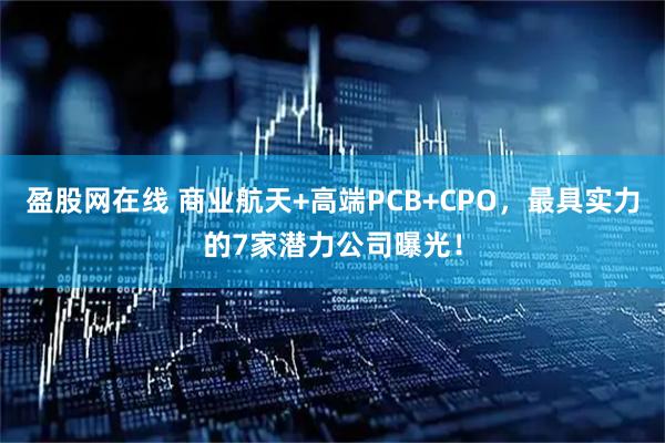盈股网在线 商业航天+高端PCB+CPO，最具实力的7家潜力公司曝光！